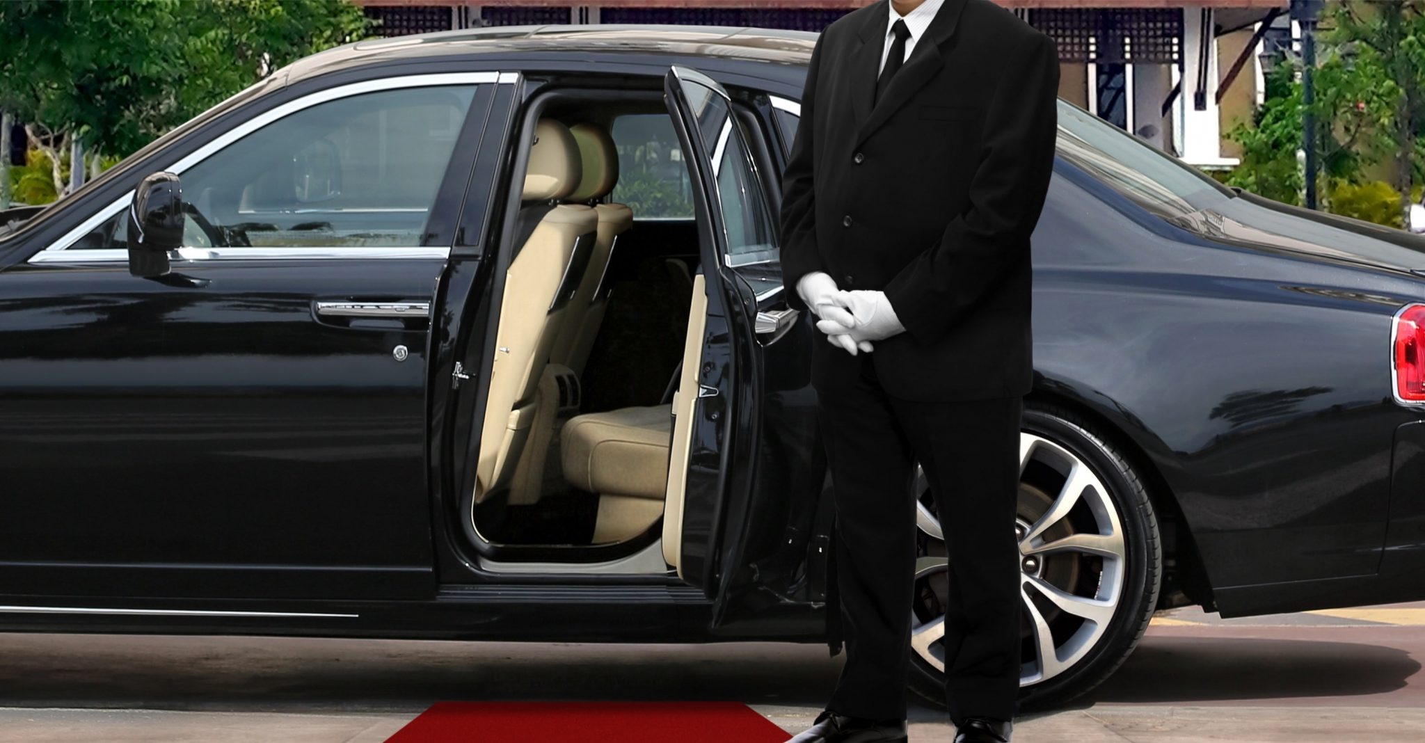 professional chauffeur services